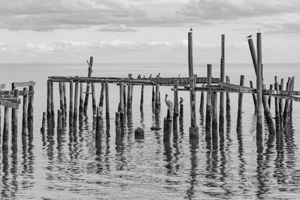 Monochrome view of a weathered pier with birds at Cedar Key, Florida.