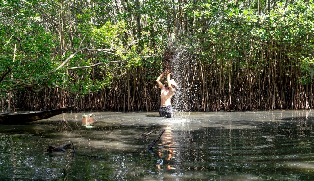 Shirtless man fishing with a net in a mangrove swamp, creating a splash effect.