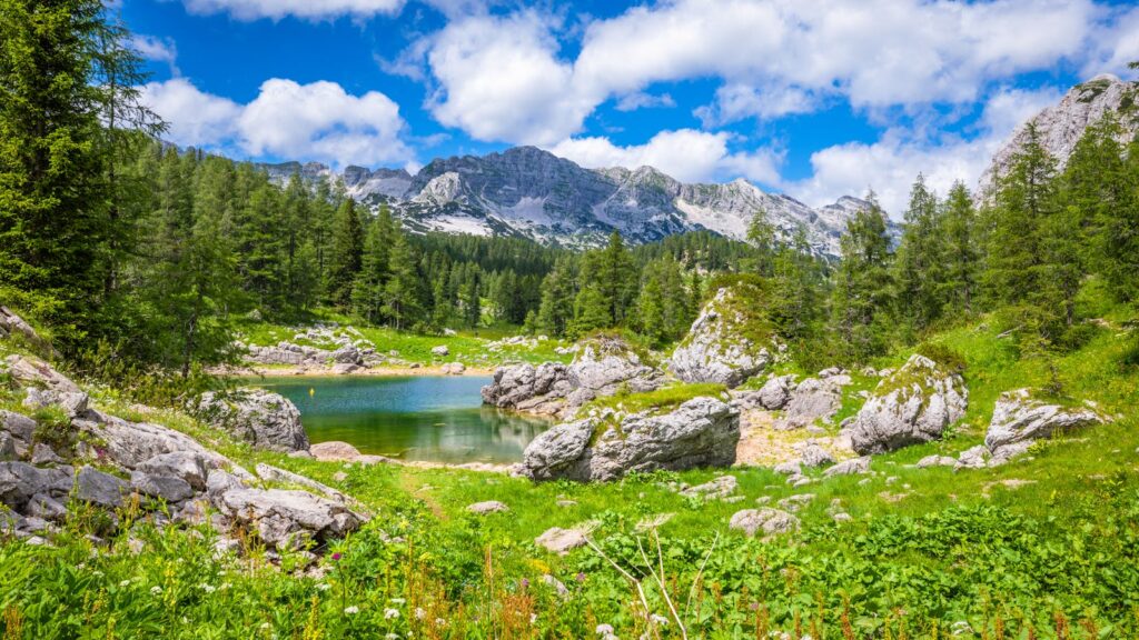 Stunning view of a serene mountain lake surrounded by lush greenery in the Julian Alps, Slovenia.