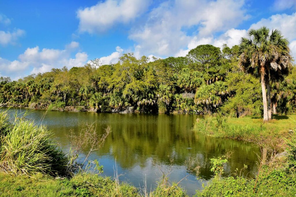 Scenic view of a tranquil tropical lake surrounded by lush green jungle and palm trees.