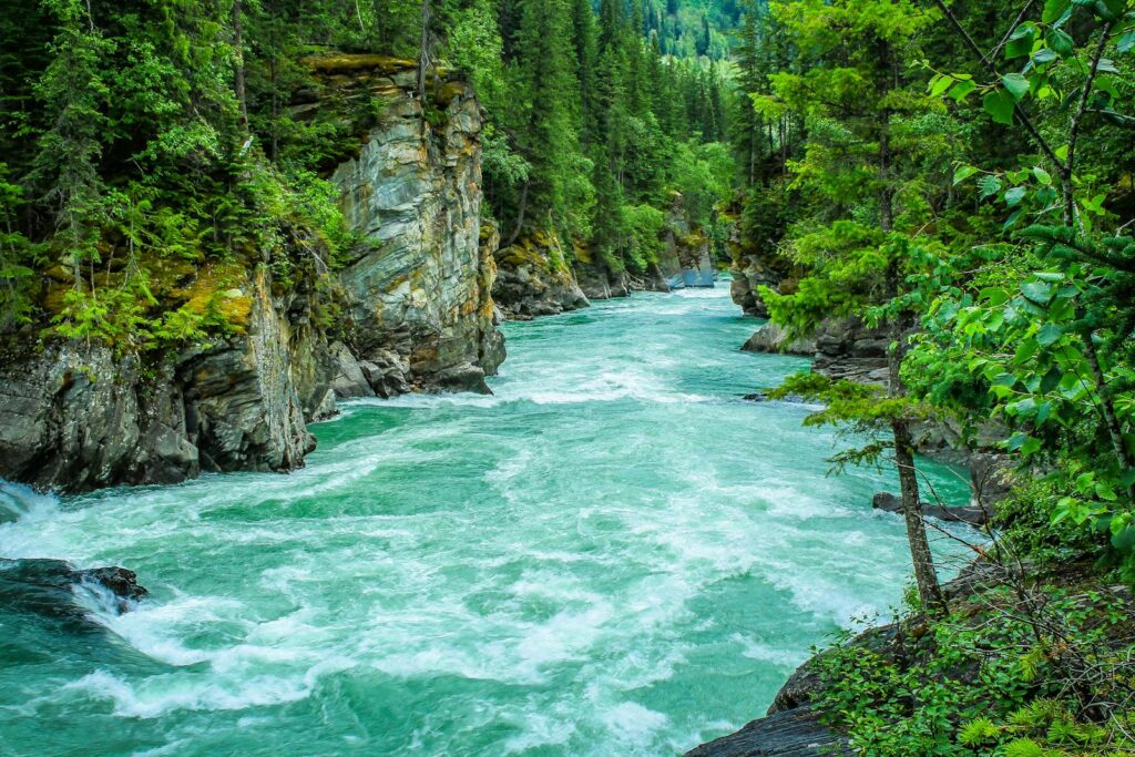 Serene river winding through lush forest gorge, showcasing nature's beauty.