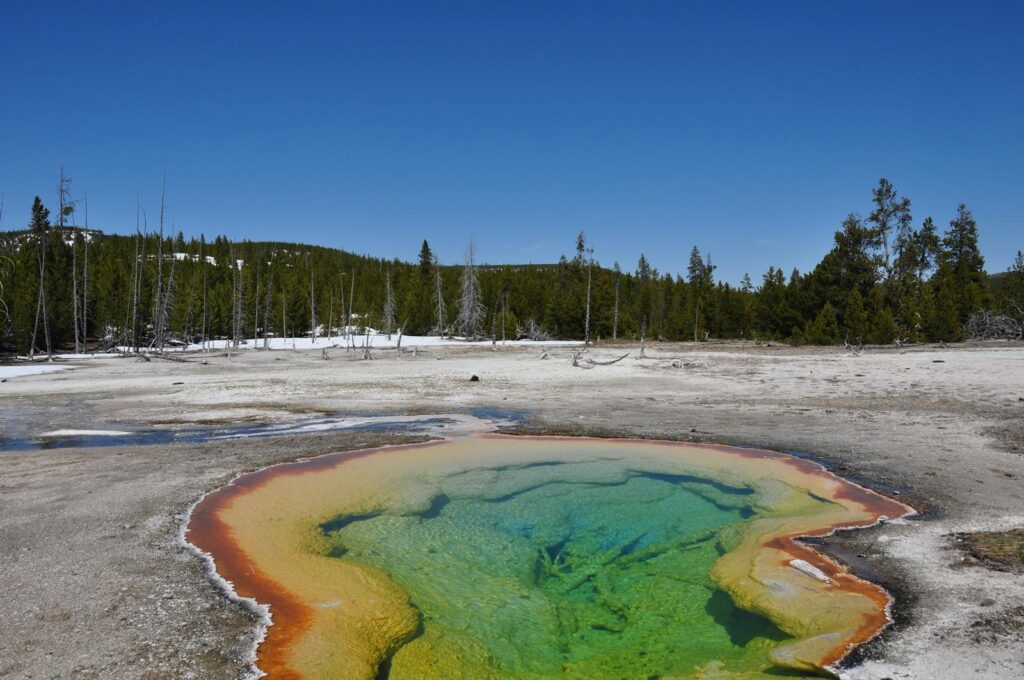 Colorful geothermal hot spring landscape in Yellowstone National Park, showcasing natural beauty.