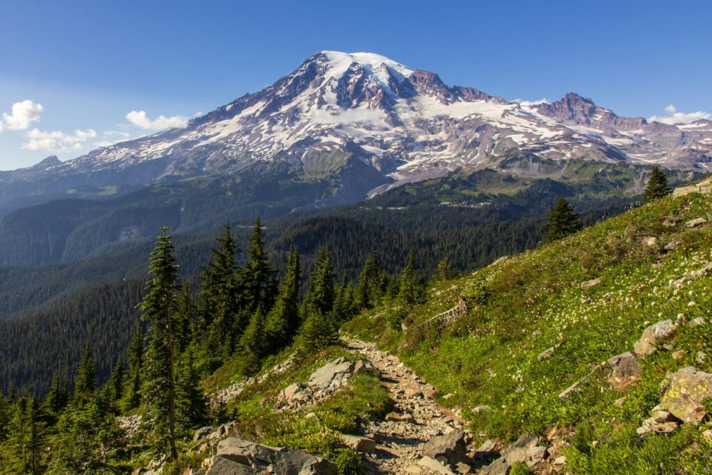 A stunning view of Mount Rainier surrounded by lush greenery under a clear sky, perfect for nature lovers.