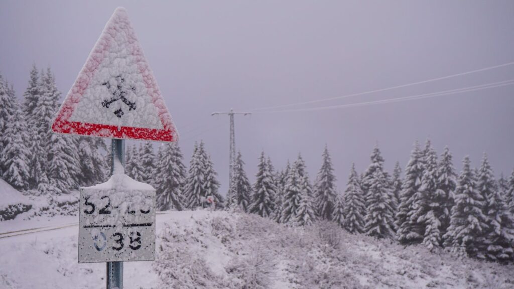 A snowy scene with a traffic sign covered in snowflakes along a frosty forest road.