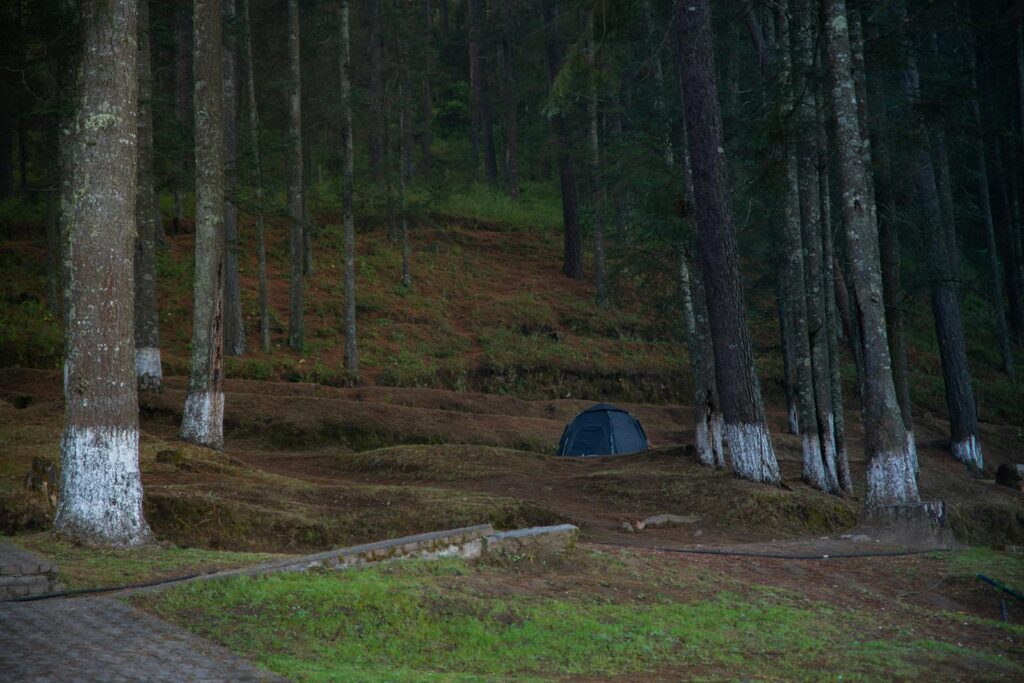 A serene camping site in the lush forests of Los Azufres, Michoacán, Mexico.