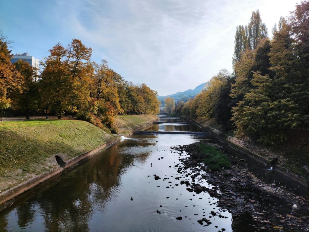 The wonderful colours of Autumn