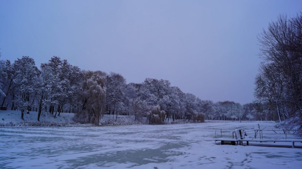 winter