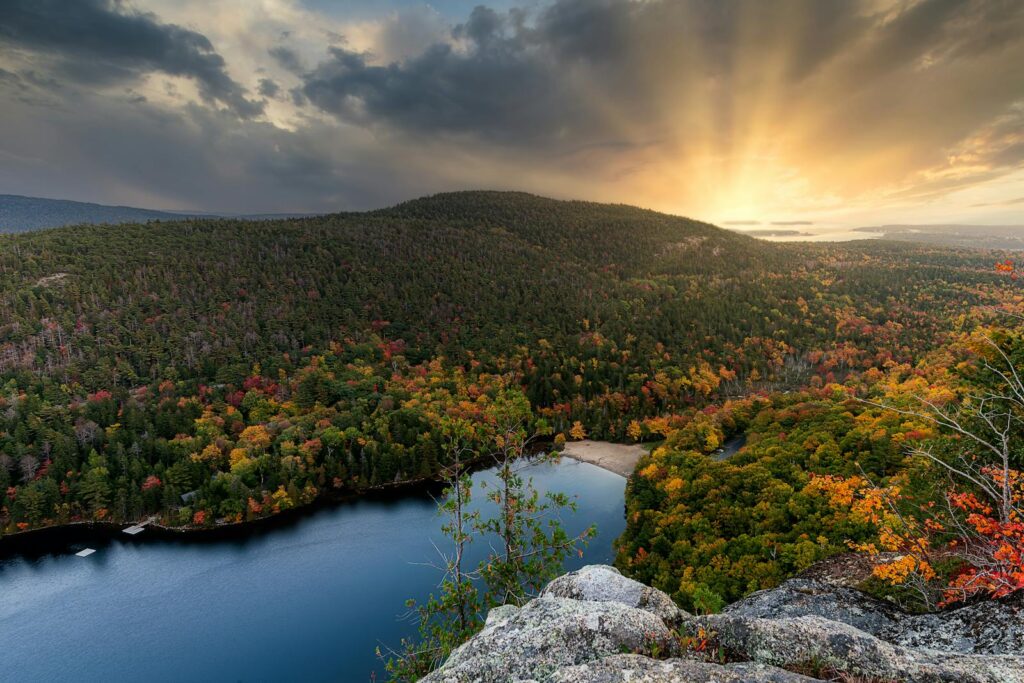 A stunning aerial view of a forest and lake during sunrise in autumn, showcasing vibrant foliage.