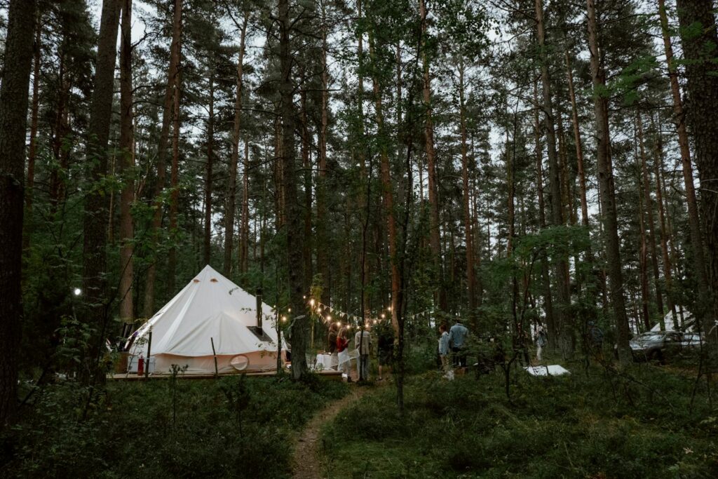 A group of friends camping in a forest with a tent and string lights, creating a cozy outdoor atmosphere.