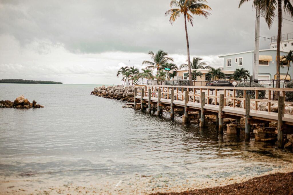 Scenic coastal view with palm trees, boardwalk, and homes by the sea under cloudy skies.