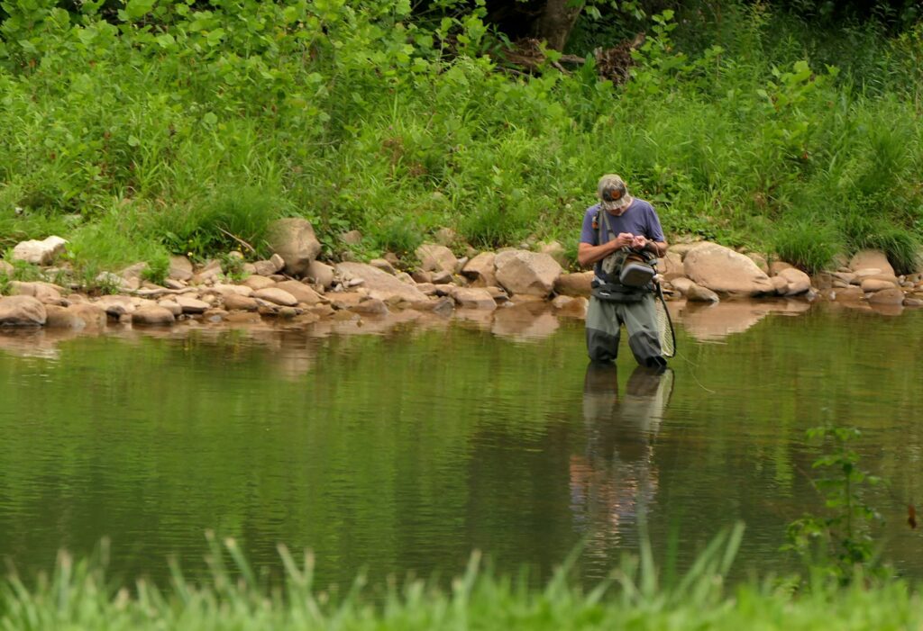 A man standing in a river holding a fish