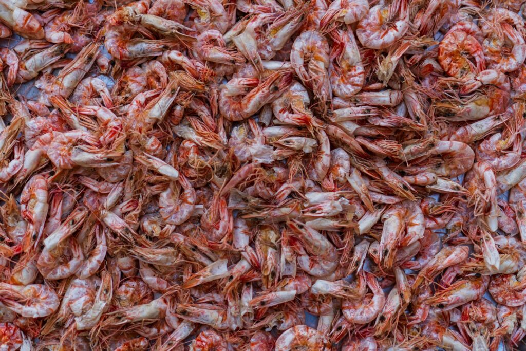 A heap of dried shrimp.