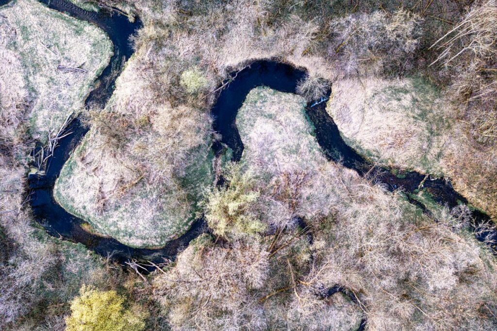 Aerial shot of the meandering river through a forested area in Beaver, Minnesota.
