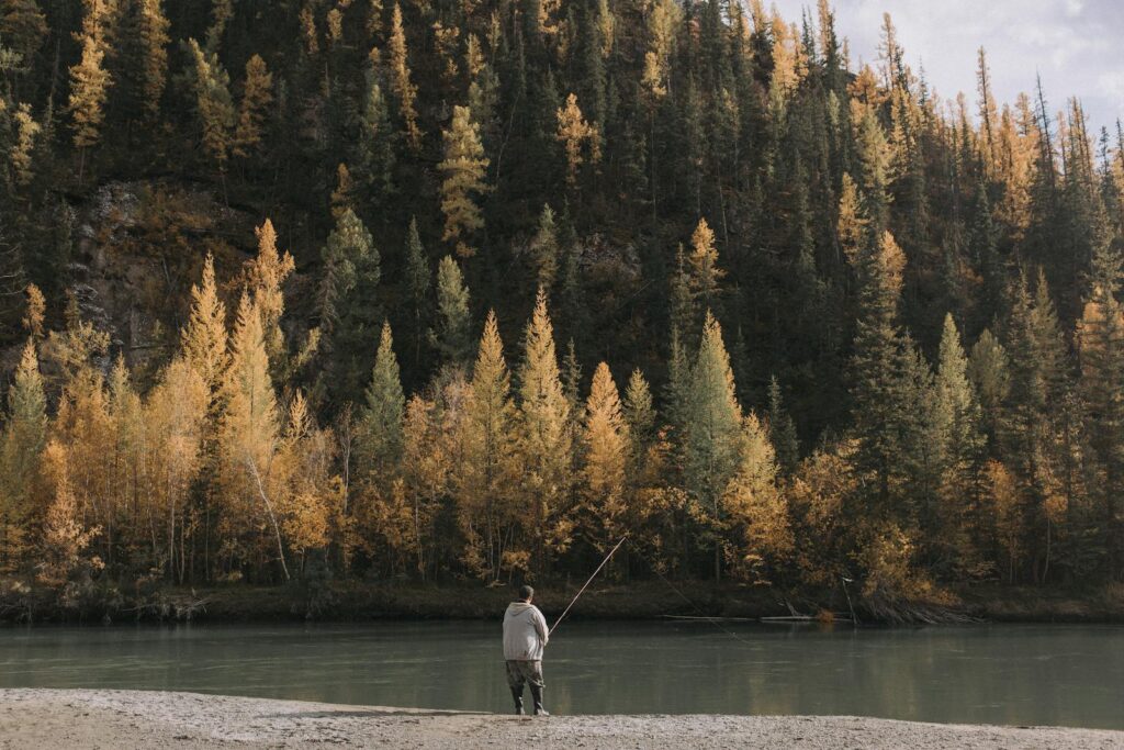 Man fishing by a tranquil river surrounded by autumn forest in Altai, Russia.