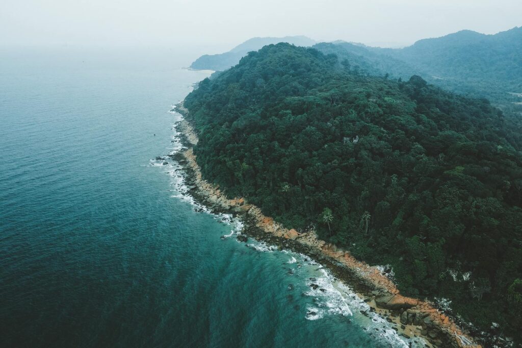 Breathtaking aerial shot of a lush island surrounded by the vast ocean, showcasing nature's beauty.