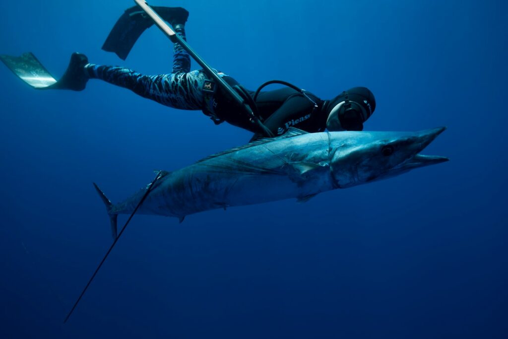 a man in a wet suit is diving with a large shark