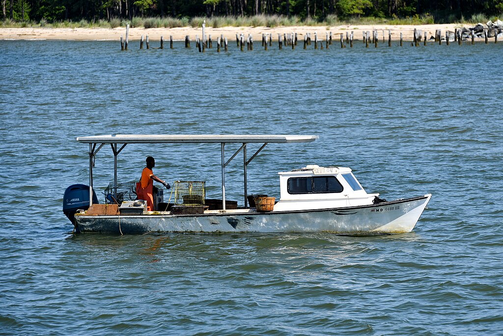 MD 4488 AR is a workboat built in the traditional deadrise design for crabbing on Chesapeake Bay. Image was taken in the Chesapeake Bay, outside Cornfield Harbor, MD USA on June 27, 2021.