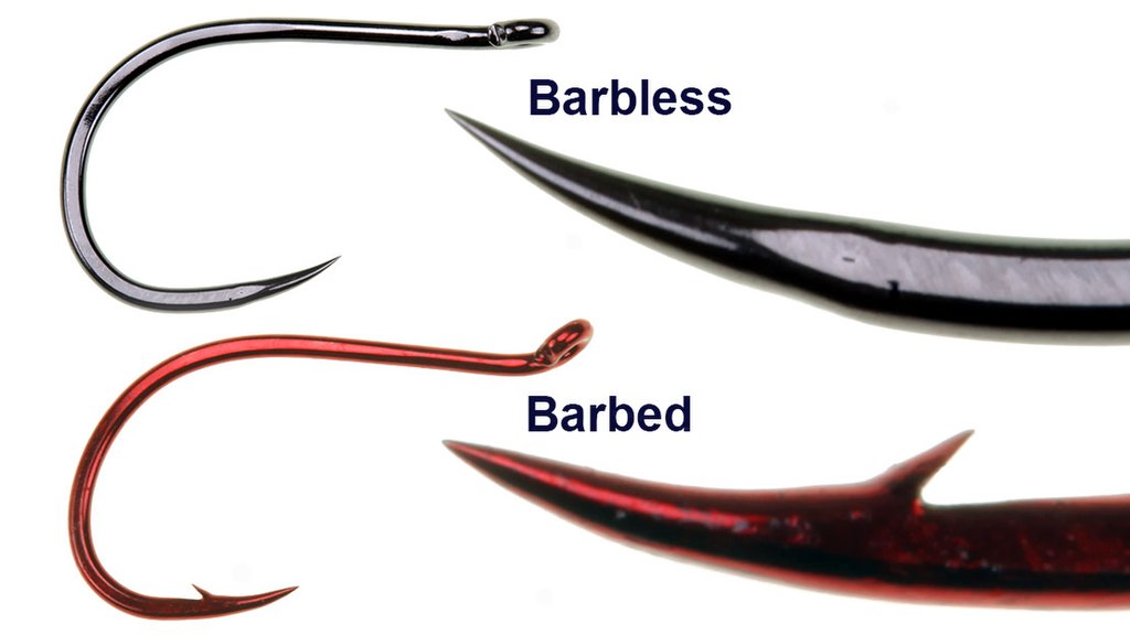 Two fishing hooks are shown: a black barbless hook and a red barbed hook. The barbed hook has a sharp, protruding barb, highlighting their design differences.