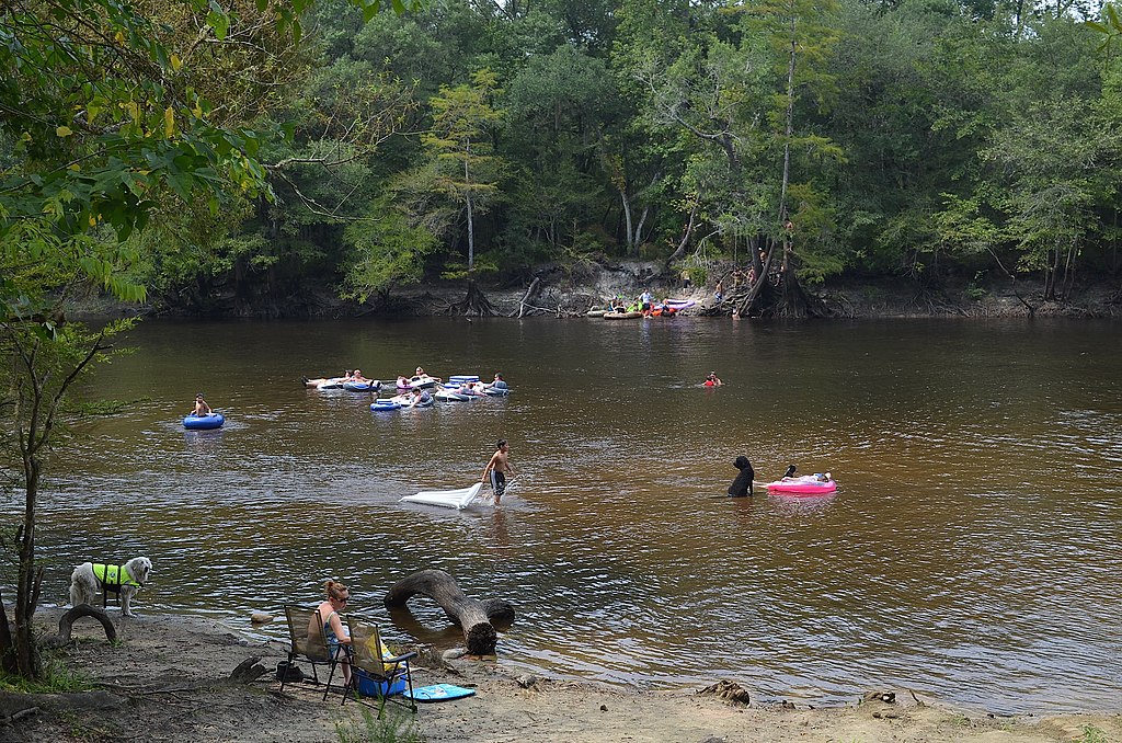 People enjoy a leisurely day tubing on a calm river, surrounded by lush green trees. A dog in a life jacket stands on the sandy bank.