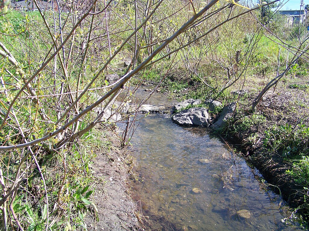 Baxter Creek as it moves from El Cerrito to Richmond.