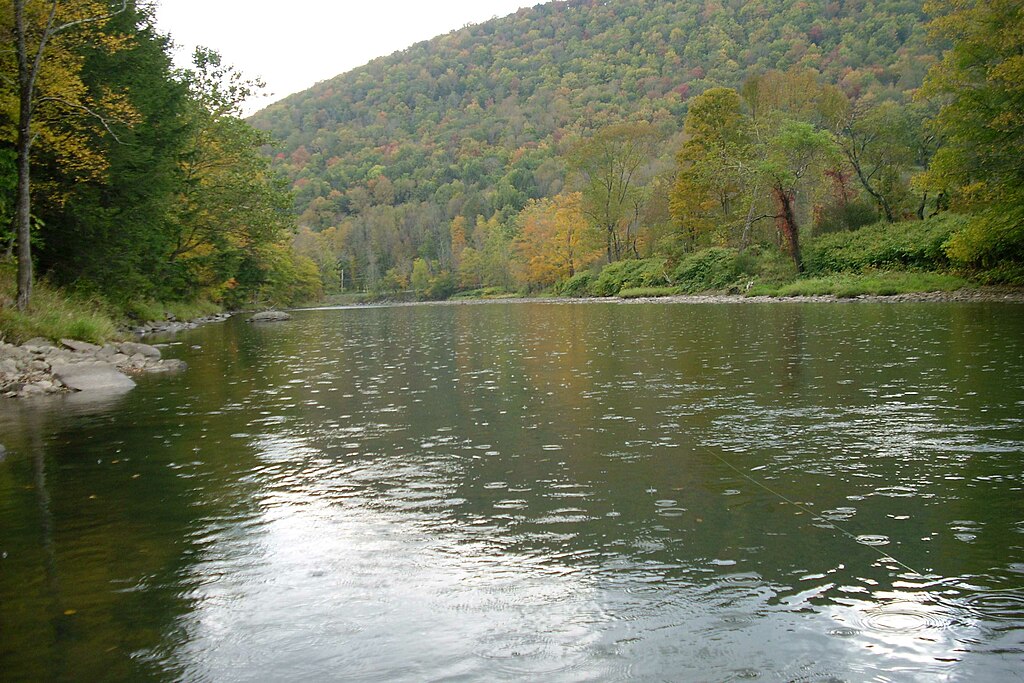 A tranquil river flows gently between lush, green trees and a rocky bank, with a forested hillside in the background displaying early autumn colors.