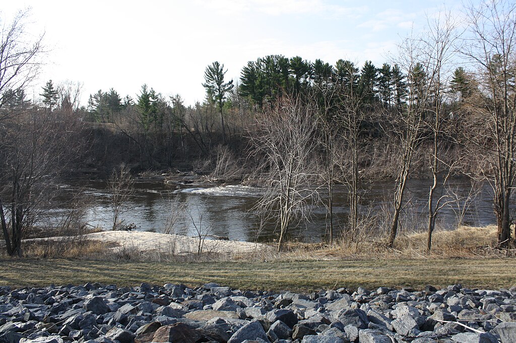 Black River in Mississippi in early spring. Bare trees line the riverbank, reflecting in the calm water. A rocky foreground and a pine forest in the background. Tranquil atmosphere.