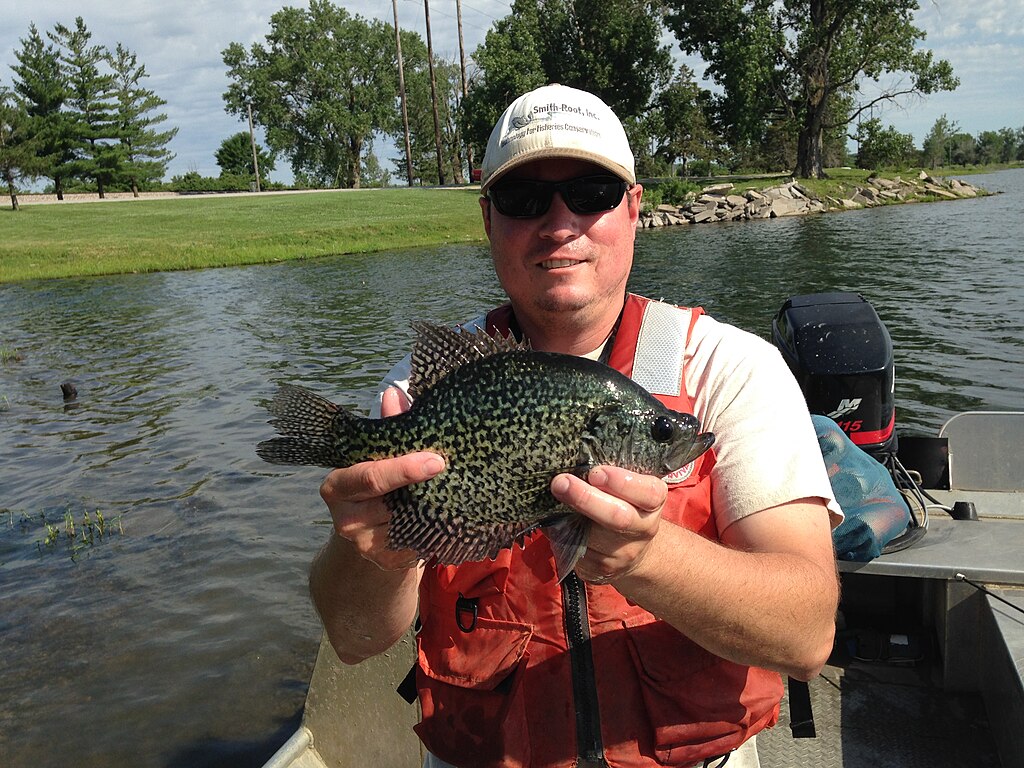 A person in sunglasses and a cap holds a large crappie fish while standing on a boat. They're on a lake with trees in the background, conveying a sense of pride and accomplishment in fishing.