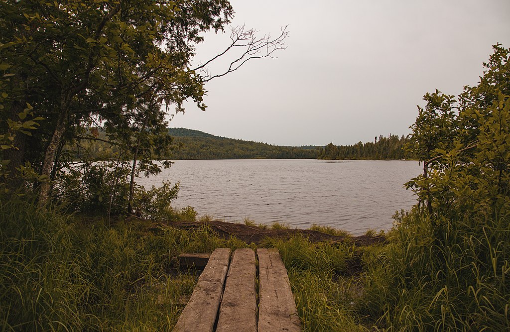 A serene lakeside view framed by lush green trees, a wooden pier leading to the calm water, and distant hills under an overcast sky, evoking tranquility.