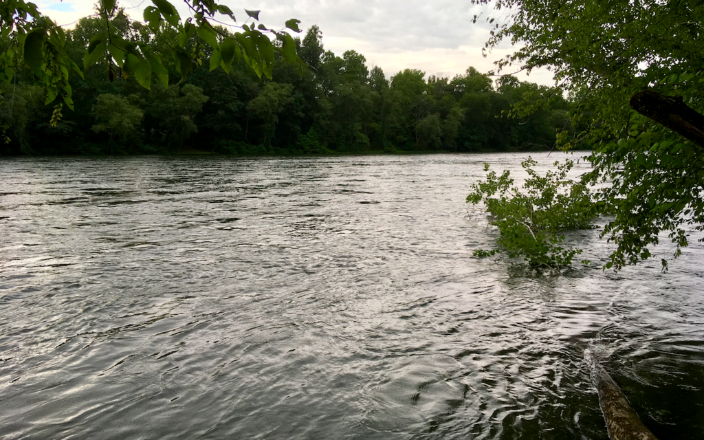 Calm river flowing through lush green forest under a cloudy sky, with overhanging tree branches adding a serene and peaceful atmosphere.