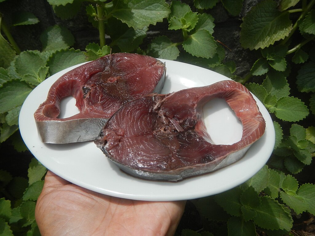 Skipjack tuna.