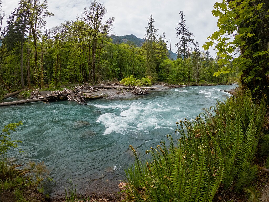 The Elwha River from within Olympic National Park in May 2022.