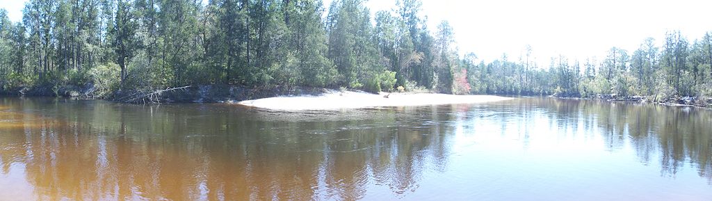 Calm river reflecting surrounding forest with dense green trees. A sandy bank extends into the water under bright sunlight, creating a serene, natural scene.