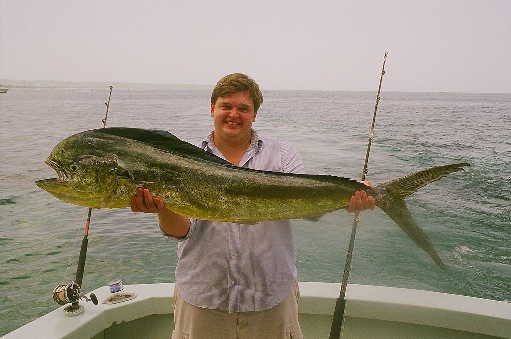 54", 34lb Female Dolphin Fish off the coast of Jamaica.