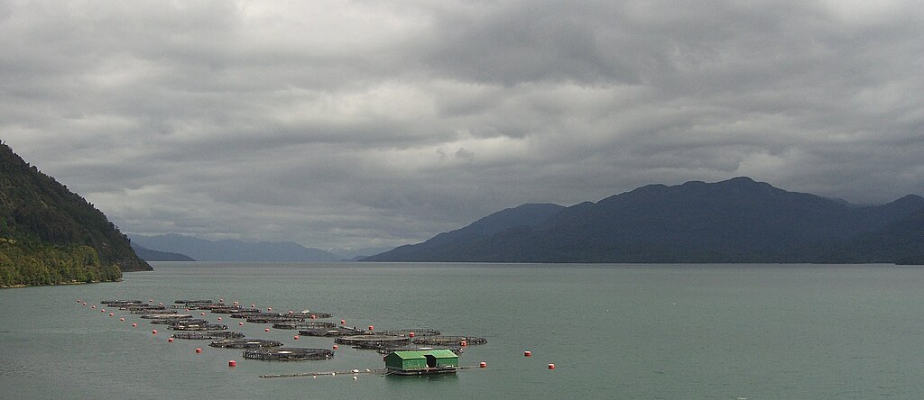 Fish Farm in Fjord near La Junta
