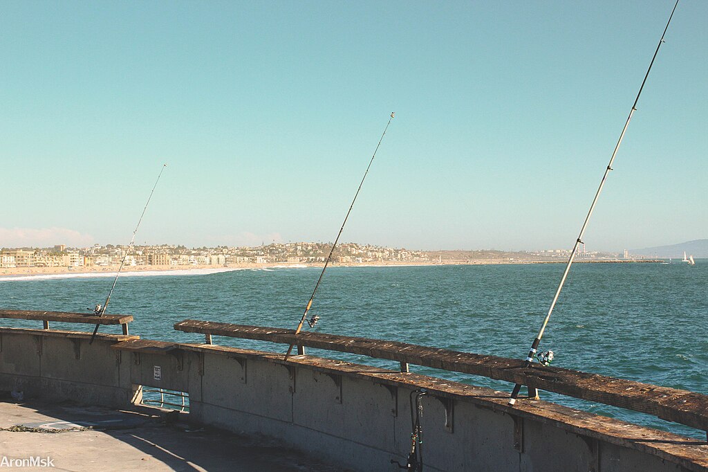 Fishing rods.