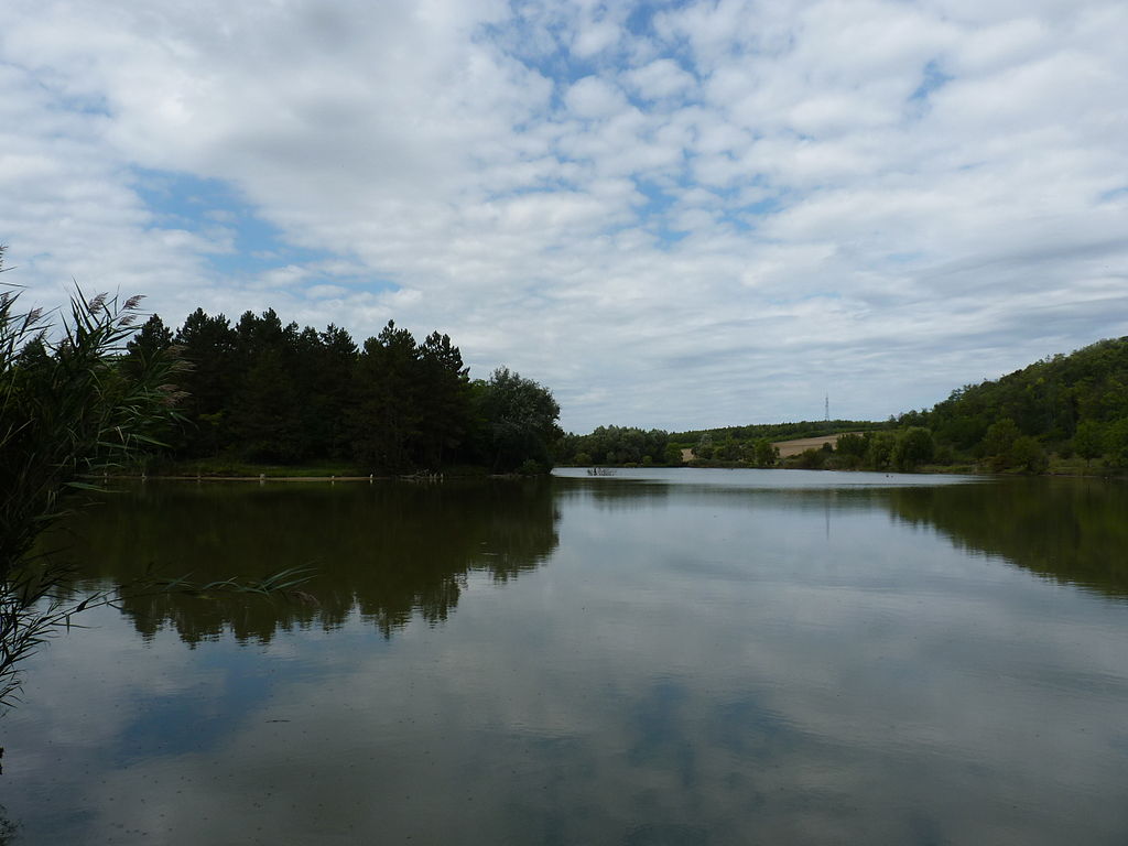 Calm lake reflecting a cloudy sky, surrounded by dense trees and gentle hills. The scene conveys tranquility and natural beauty.