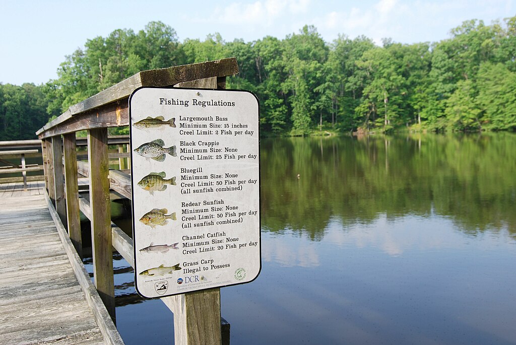 Fishing regulations at the Bear Creek Lake State Park.
