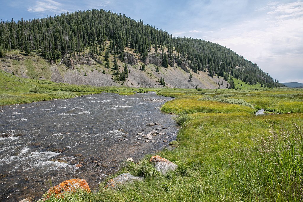 Gallatin River
