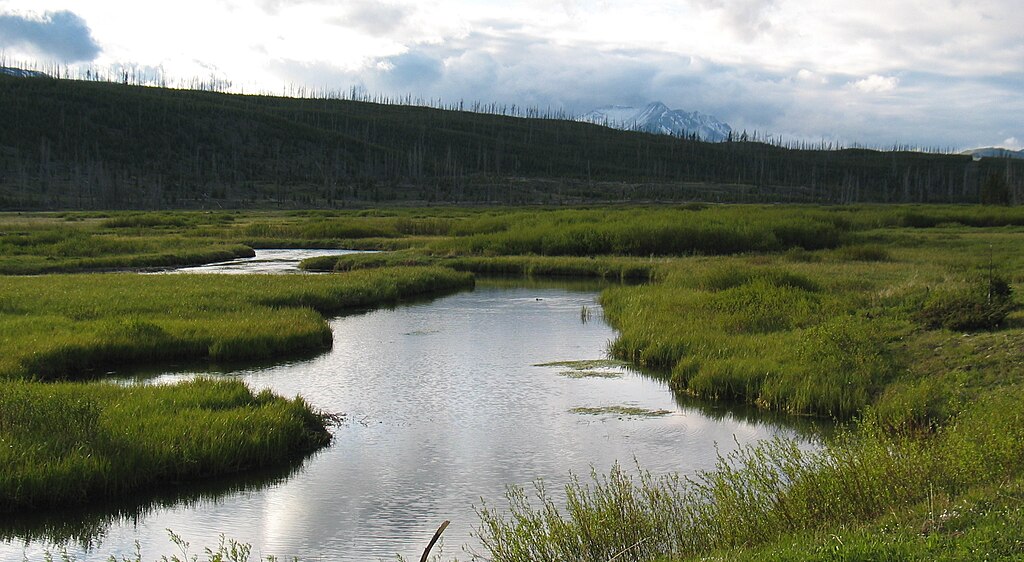 Gibbon River bottomlands, Yellowstone National Park