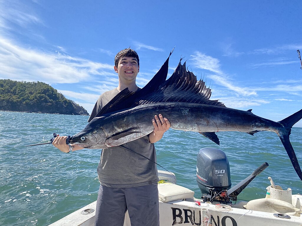 Man on a boat holds a large sailfish, smiling against a backdrop of blue ocean and green hills under a clear sky, conveying excitement and achievement.