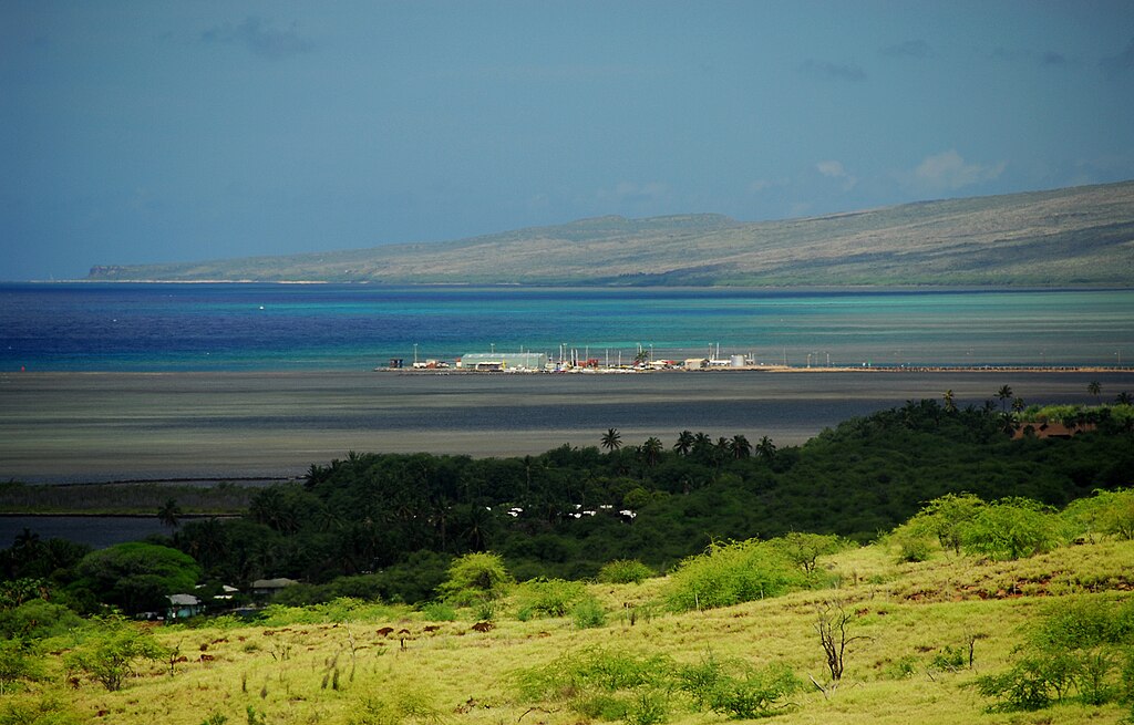 Coastal landscape with vibrant green hills in the foreground, a dense cluster of trees, and a large turquoise ocean beneath a clear blue sky, conveying calmness.