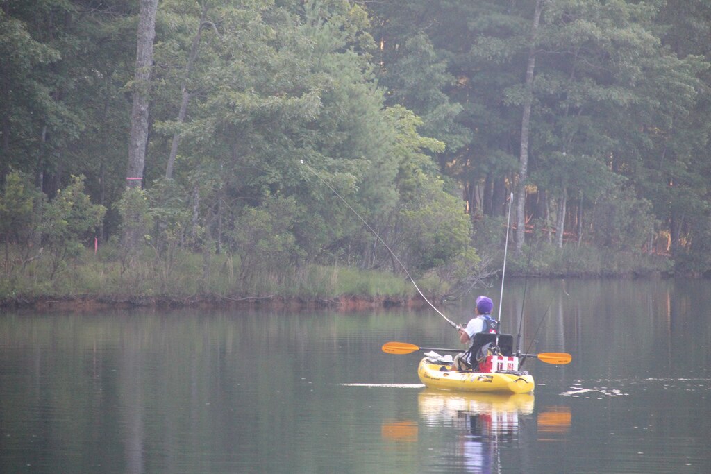 A person in a yellow kayak fishes on a calm lake surrounded by dense green trees. The serene atmosphere reflects a peaceful, tranquil setting.