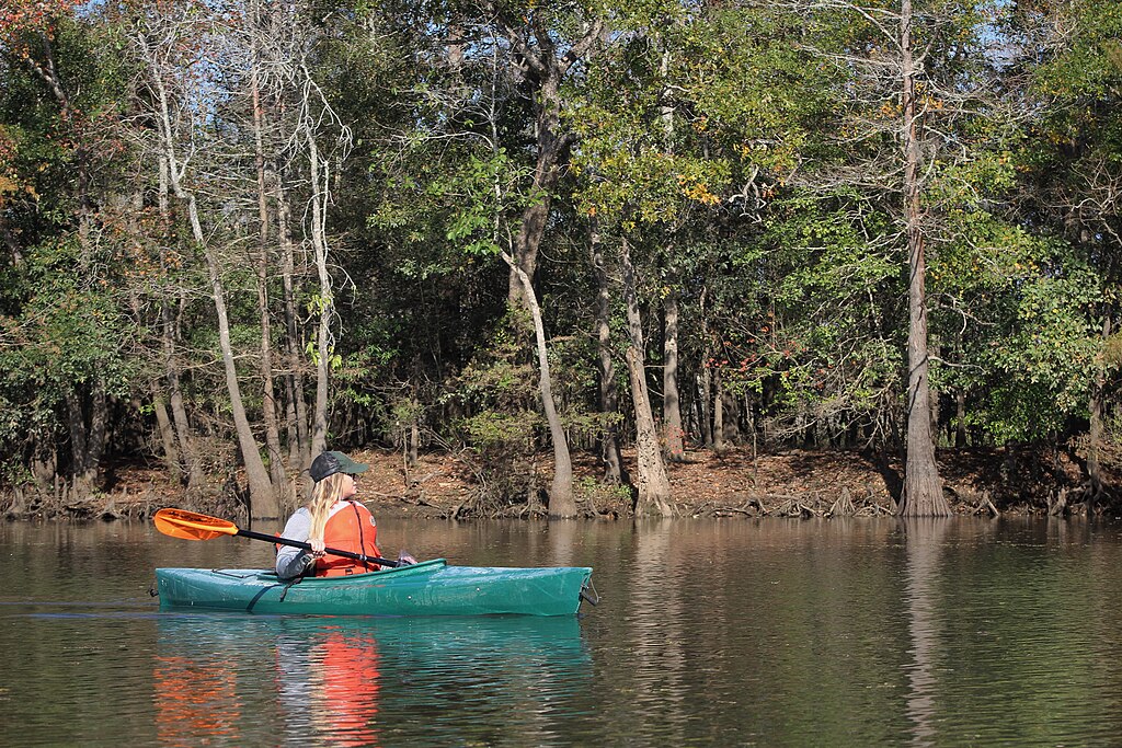 Solo kayaker on the water with a green kayak and orange/black paddle.