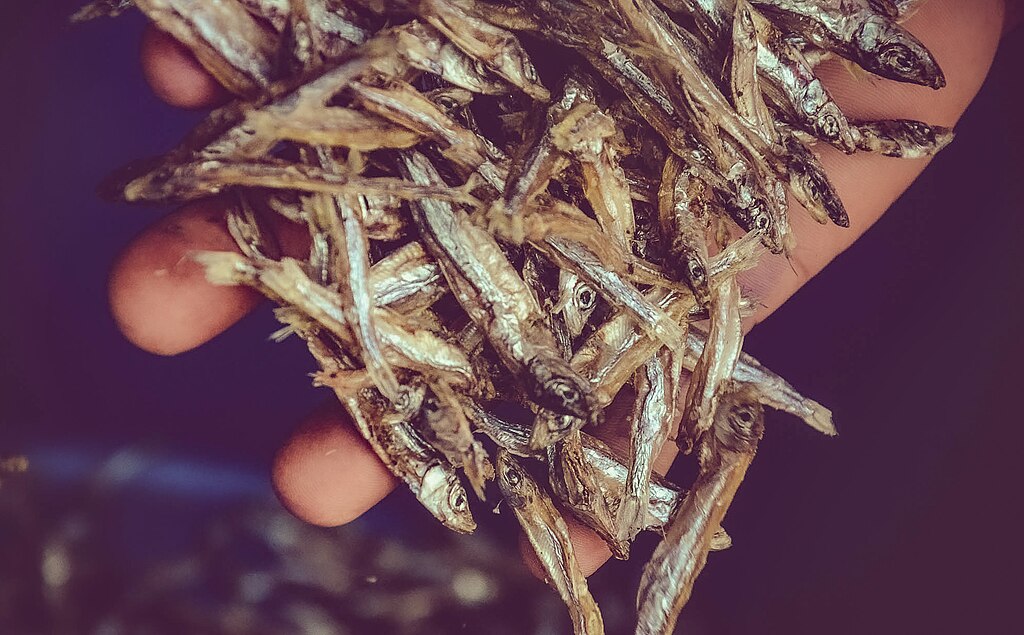 A hand holds a pile of small, dried fish that are silver and slightly translucent, against a dark background, conveying a rustic, organic feel.