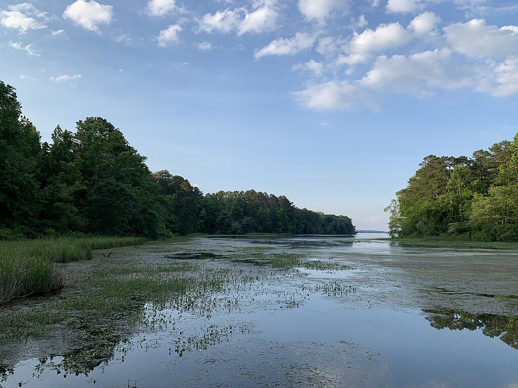Tranquil view of a calm river flanked by lush green trees under a blue sky with scattered clouds, reflecting serenity and natural beauty.