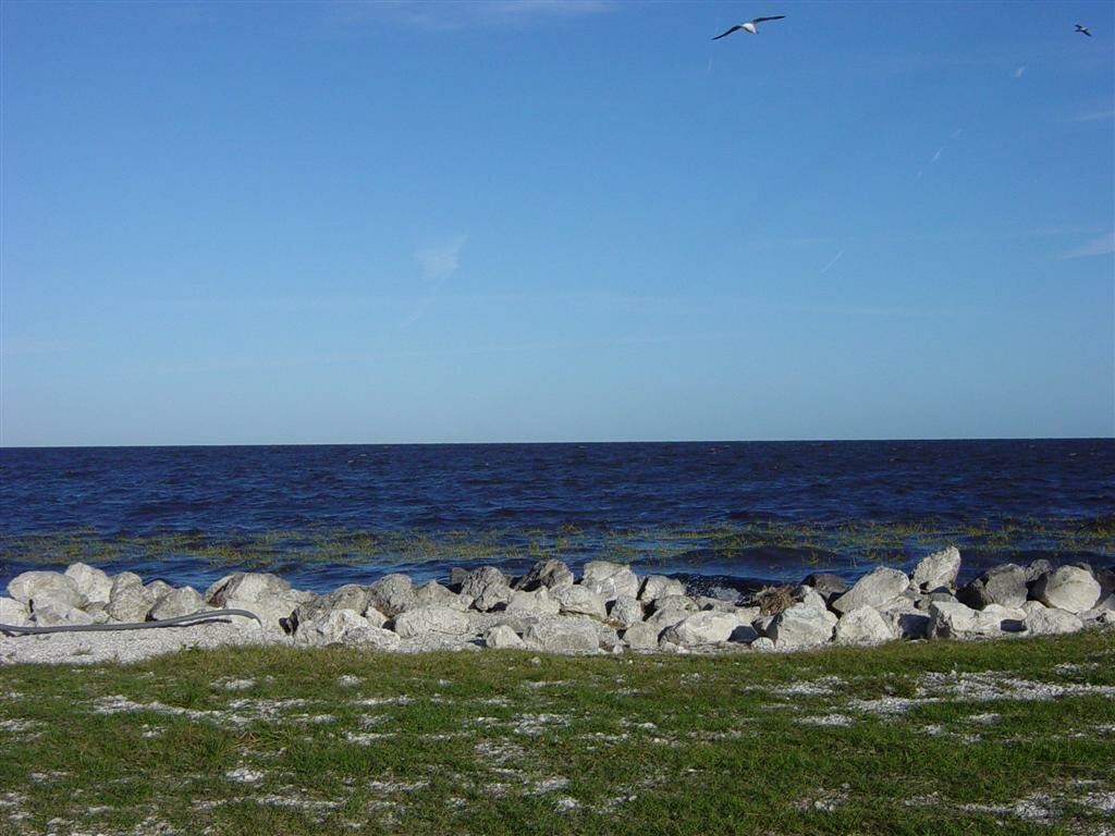 Calm ocean scene with a clear blue sky and two birds soaring above. Foreground features a rocky shoreline and grass, creating a peaceful atmosphere.