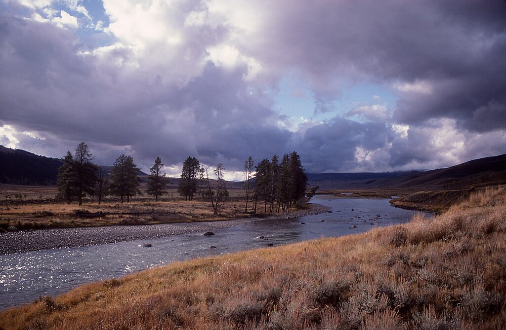 Lamar River, Yellowstone National Park, 1977.