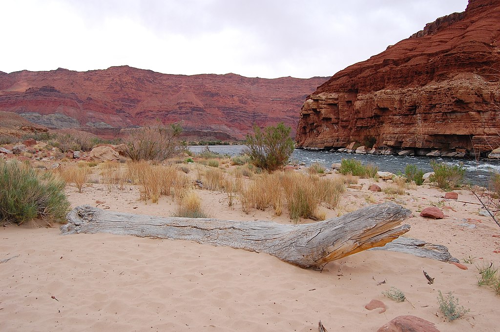 Lees Ferry Coconino County