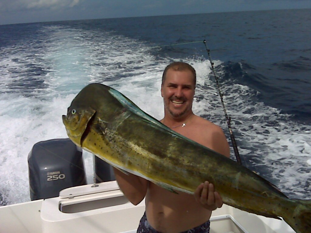 42lbs. Mahi-Mahi caught with artificial lure off San Juan, PR.