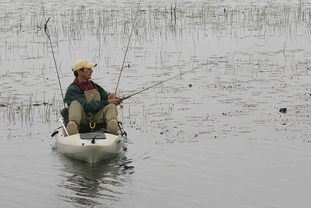 A person in a kayak on a calm, marshy lake, wearing a cap and jacket, focused on fishing with a rod. The scene is peaceful and serene.